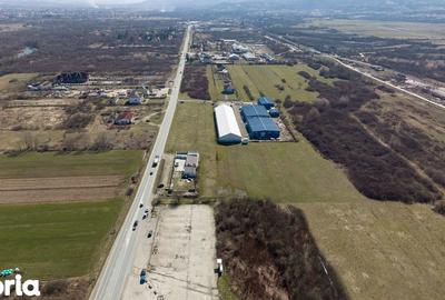 Teren de 7194 mp, în Carașova - 3