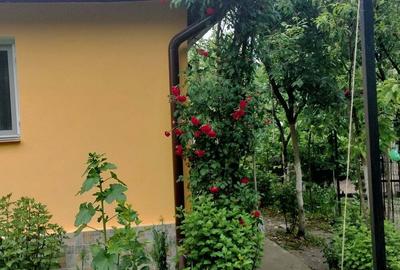 Casă cu 3 camere în Drăgășani - 2