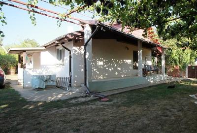 Casa La Tara  - 2700MP - Tichilesti Constanta - Vita De Vie - Pomi Fructiferi - 3