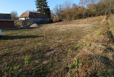 Teren Construcții intravilan de 1288 mp, în Maiad - 7