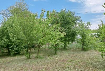 Casa Cujmir Mehedinti | Situata la strada | Teren 2038 mp| - 6