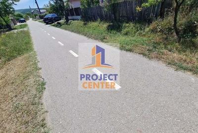 Casa si teren in suprafata de 4525 mp, Babana - 10