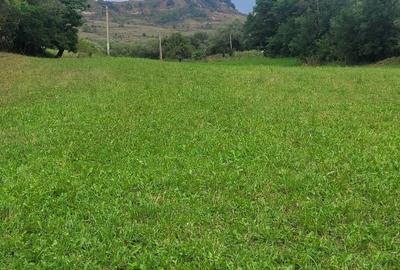 Teren de 7100 mp, în Săcel - 2