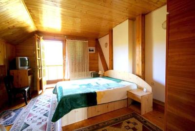 Vanzare vila Valenii de Munte - Drajna de Sus, judet Prahova - 9