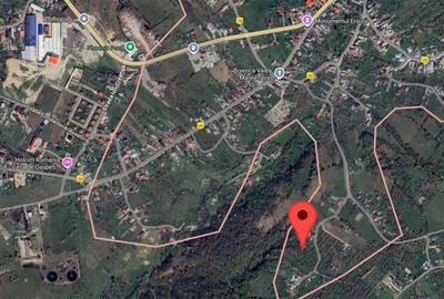 Teren Construcții intravilan de 11600 mp, în Câmpulung Muscel - 2