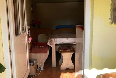 Casă cu 3 camere în Silvașu de Jos - 7
