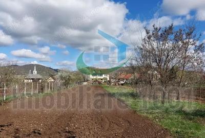 Tautii Magheraus, teren intravilan, suprafata 1377 mp, acces prin strada nr. 59 - 1