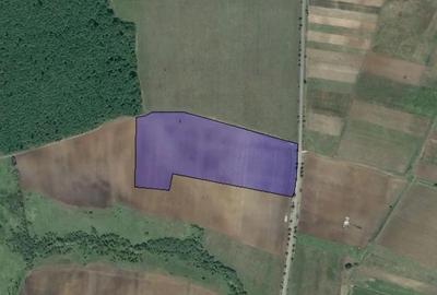 Teren de 40000 mp, în Mărtinești - 3