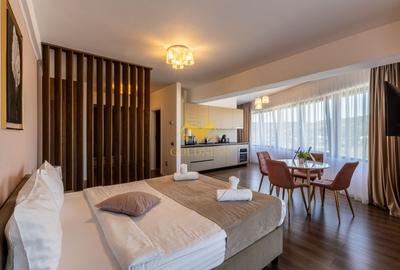 O camera,parcare, bloc nou, terasa,Manastur, West City, Calea Floresti O camera,parcare, bloc nou, terasa,Manastur, West City, Calea Floresti - 11