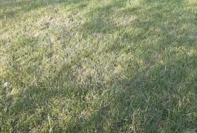 Teren de 2000 mp, în Ștefan cel Mare - 1