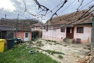 Casă cu 2 camere cu Teren 260 Mp în Ocna Sibiului - 1