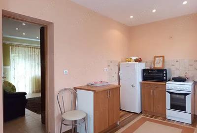 Casă cu 6 camere în Mintia - 9