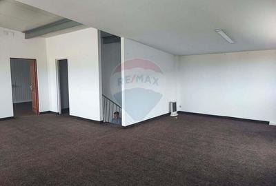 Hala Industriala, Parcul Industrial Bor? 2, De Vanzare - 2