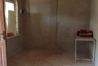 Casa P M si teren intravilan de in localitatea Patlageanca- - 2