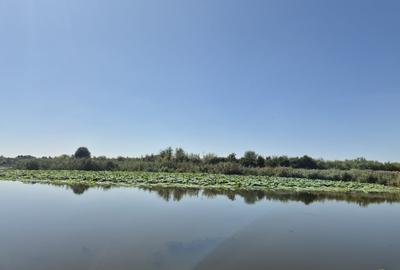 Teren 2500 mp – Izvorani | Deschidere directa la lac - 8