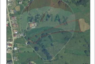 Teren Construcții intravilan de 6865 mp, în Voroneț - 5