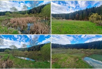 Teren de 21000 mp, în Slatina - 5