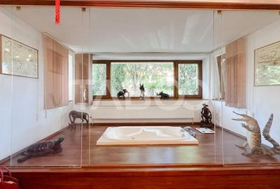 Apartament de vanzare cu 3 camere + curte la vila in Andrei Muresanu - 2