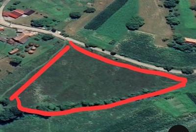 Teren intravilan la munte  Valea Ariesului comuna Salciua jud Alba - 9