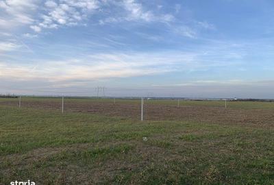 Teren de 1782 mp, în Cernica - 1