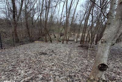 Spațiu comercial, în Central - 1