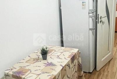 Centru - Palas Mall, 2 camere renovat, mobilat si utilat - 8