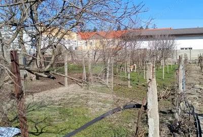 Casă cu 4 camere cu Teren 210 Mp în Iosefin