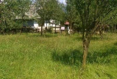 Casă cu 3 camere în Vișeu de Sus - 6