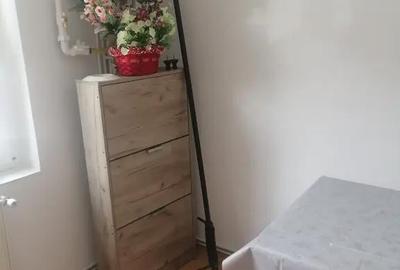 Apartament cu 2 camere decomandat în Scriitorilor - 9