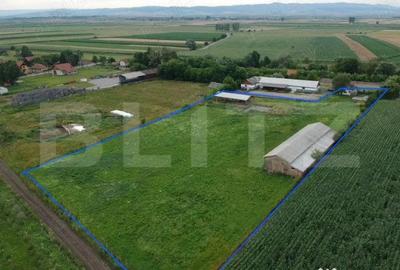Teren de 12000 mp, în Central - 1
