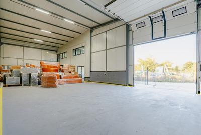 Hala industriala de inchiriat | 340 mp | Navodari - 6