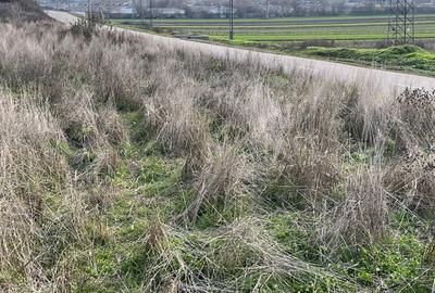 Spațiu comercial, în Hinova - 1