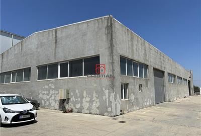 Depozit/hala/spatiu industrial Domnesti - Clinceni - Bragad - 23