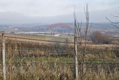 Teren extravilan de 10791 mp, în Fălticeni - 6