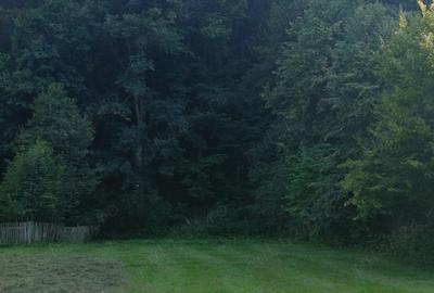 Casă cu 2 camere în Dărmănești - 7