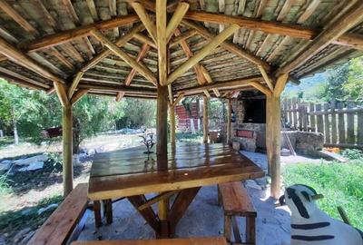 Casuta de vacanta pe Clisura Dunarii in zona Berzasca-Liubcova, teren 1600mp, 2 fronturi - 13