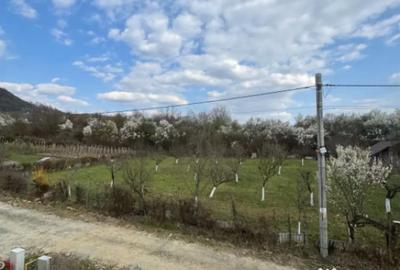 Casă cu 4 camere cu Teren 1900 Mp în Tăuții-Măgherăuș - 10