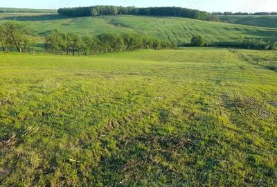 Teren de 9400 mp, în Remetea Chioarului - 1