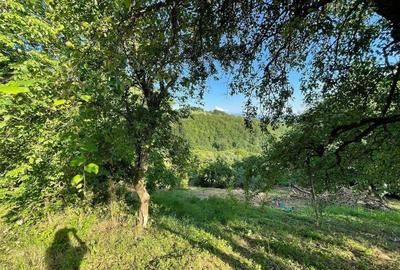 Teren zona turistica Rosia - 1