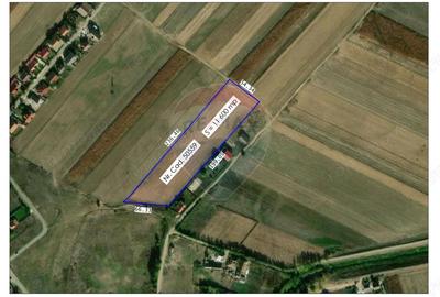 Teren intravilan de vanzare, 11.600 mp Tarian, Giri?ul de Cri? - 2