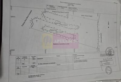 Teren în Albota - 4