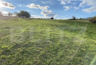 Teren de 27000 mp, în Aghireș - 3