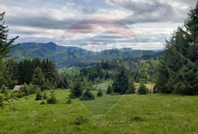 O fereastra catre cer teren de vis in Fundata, la ... - 7