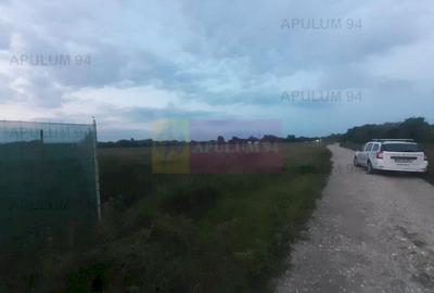 Teren aproape de Bucuresti langa padure intre case - 1