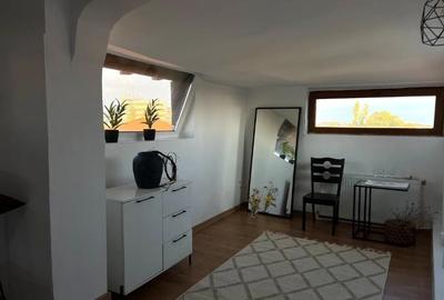 Pipera in apropiere de Gradina Zoo si Jollie Ville - 9