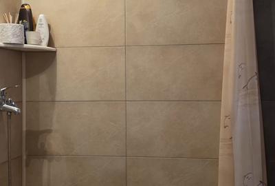 Vila de vanzare cu teren generos zona Ciolpani - 33