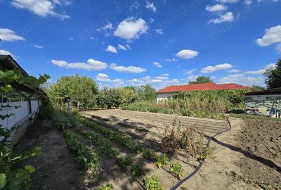 Casa de vanzare Frumu?ani, jud. Calara?i, aproape de Bucure?ti - 3