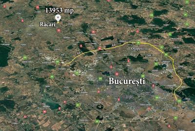 Teren intravilan 13953 mp Răcari lângă Pădurea Măriuța - oportunitate investiție - 8