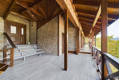 Pensiune de Lux pe Malul Dunarii in Dubova - 13