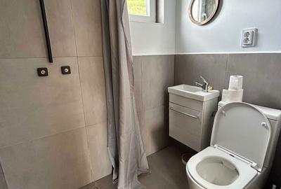 Casă cu 2 camere în Remeți - 1